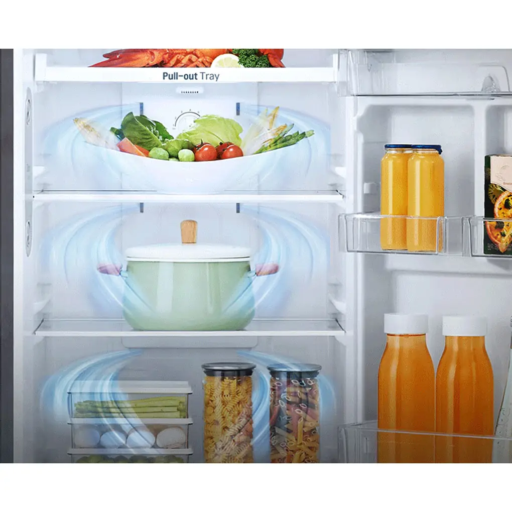 Tủ Lạnh LG Inverter 315 Lít GN-D315BL 3