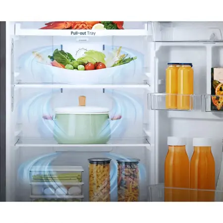 Tủ Lạnh LG Inverter 315 Lít GN-D315BL 3