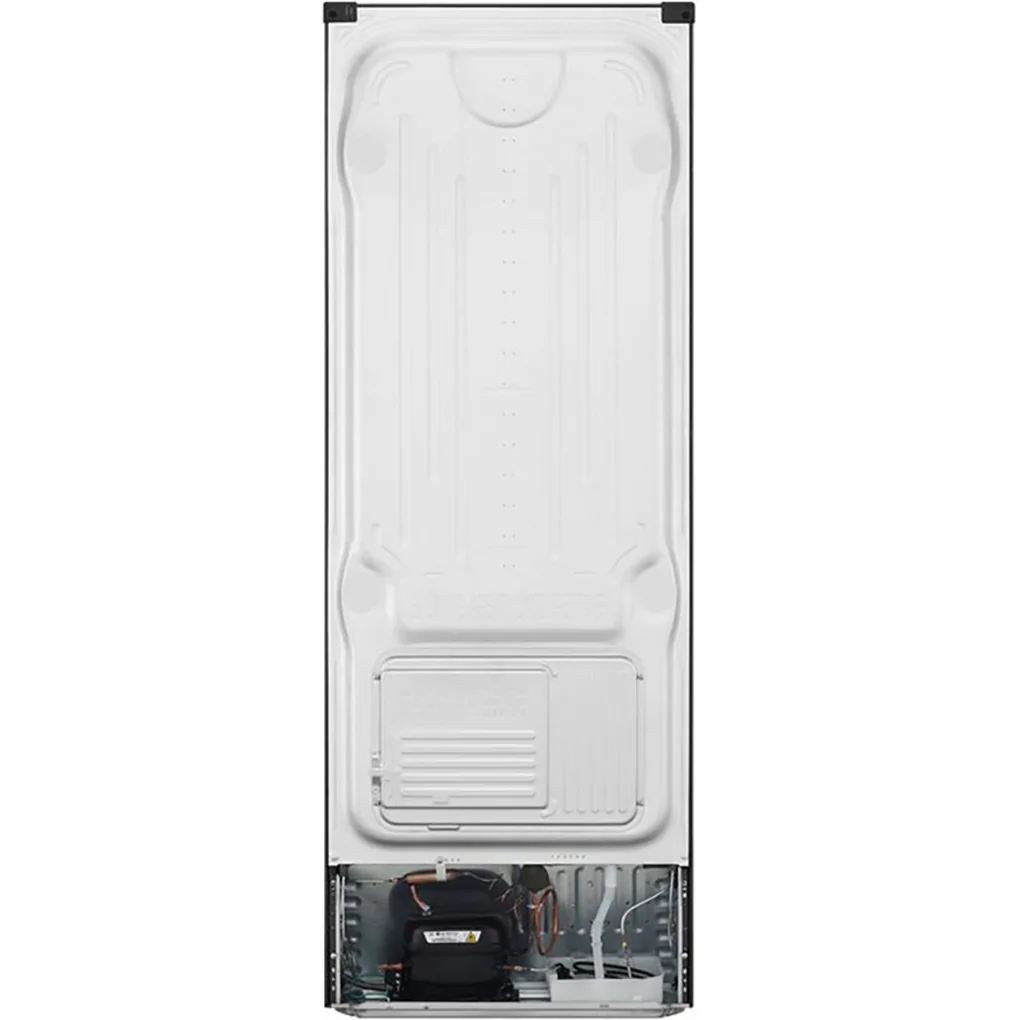 Tủ Lạnh LG Inverter 315 Lít GN-D315BL 9