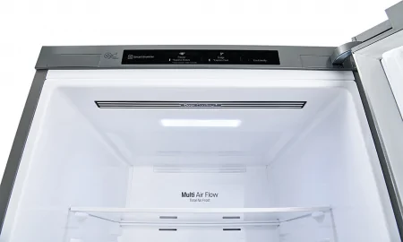 Tủ Lạnh LG Inverter 305 Lít GR-D305PS 9