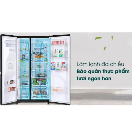 Tủ Lạnh LG Inverter 601 Lít GR-D247MC 11