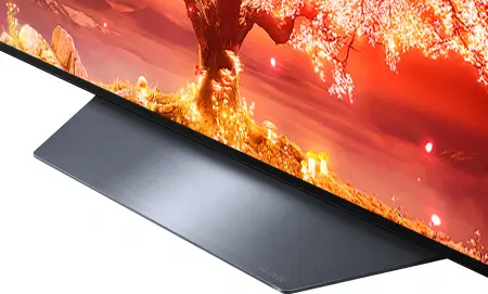 LG Smart Tivi OLED 4K 55 Inch 55B1PTA 13