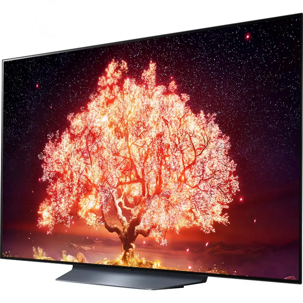 LG Smart Tivi OLED 4K 55 Inch 55B1PTA 8
