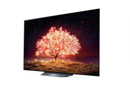LG Smart Tivi OLED 4K 65 Inch 65B1PTA 1