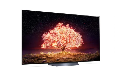 LG Smart Tivi OLED 4K 65 Inch 65B1PTA 3