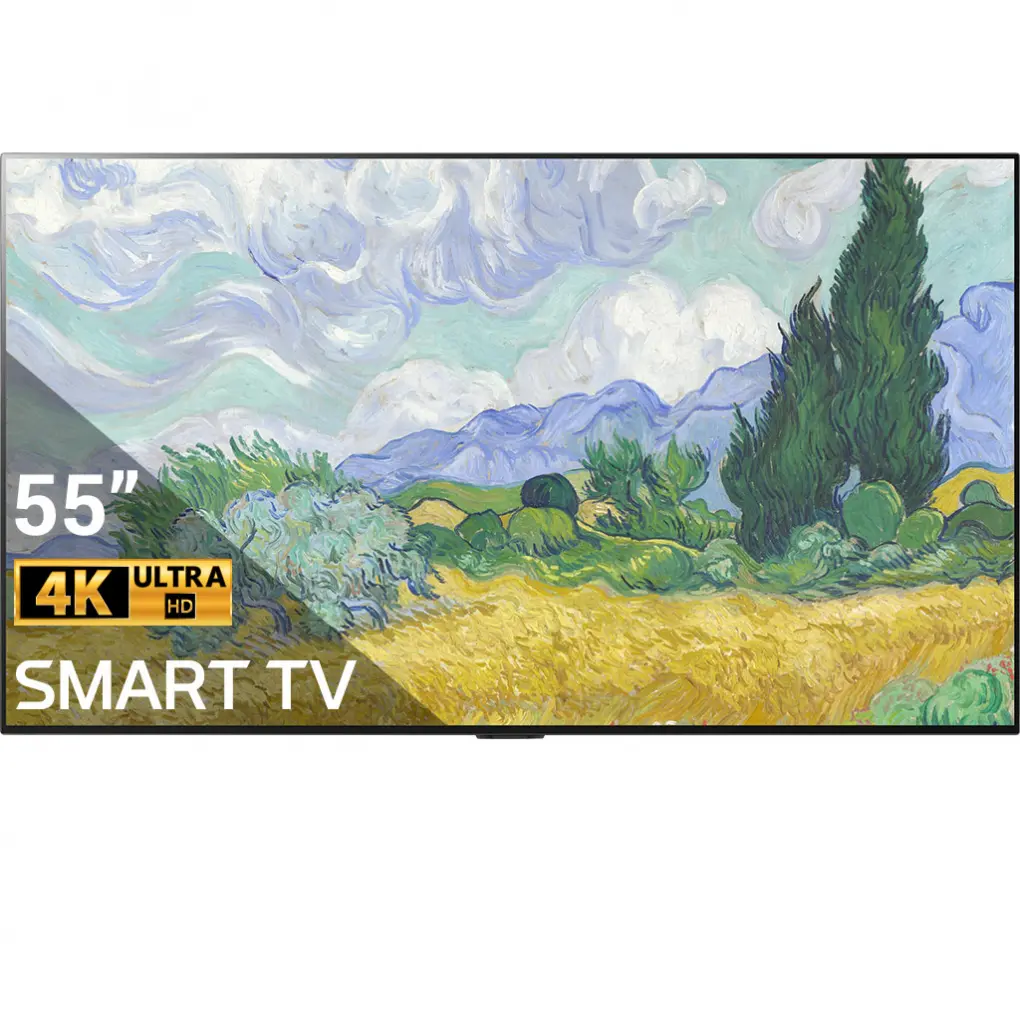 LG Smart Tivi OLED 4K 55 Inch 55G1PTA 0