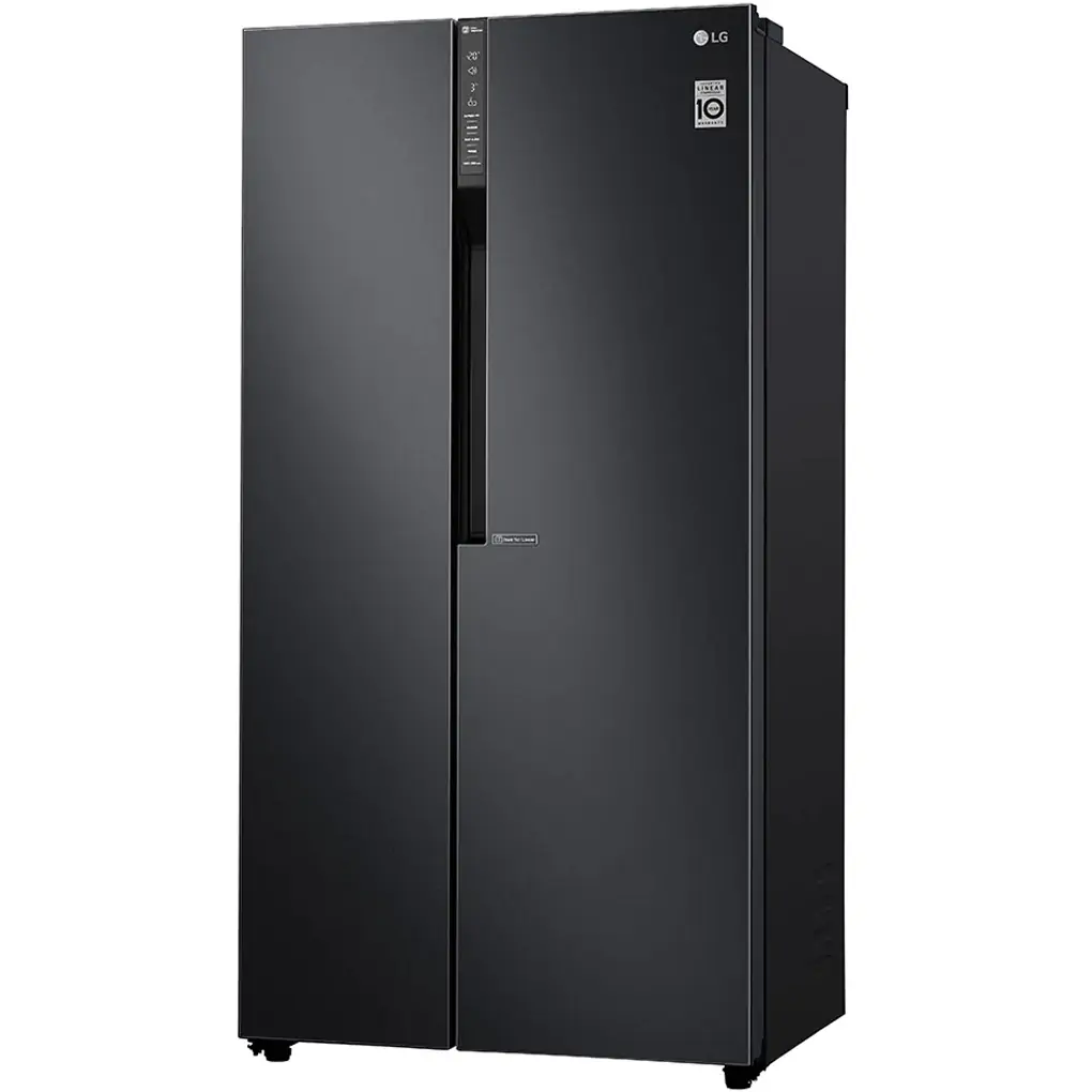 Tủ Lạnh LG Inverter 613 Lít GR-B247WB 0