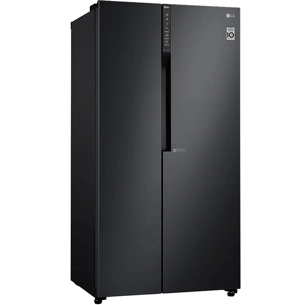 Tủ Lạnh LG Inverter 613 Lít GR-B247WB 1