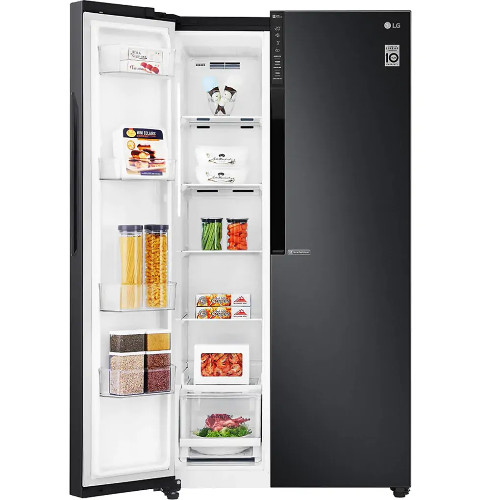 Tủ Lạnh LG Inverter 613 Lít GR-B247WB 2