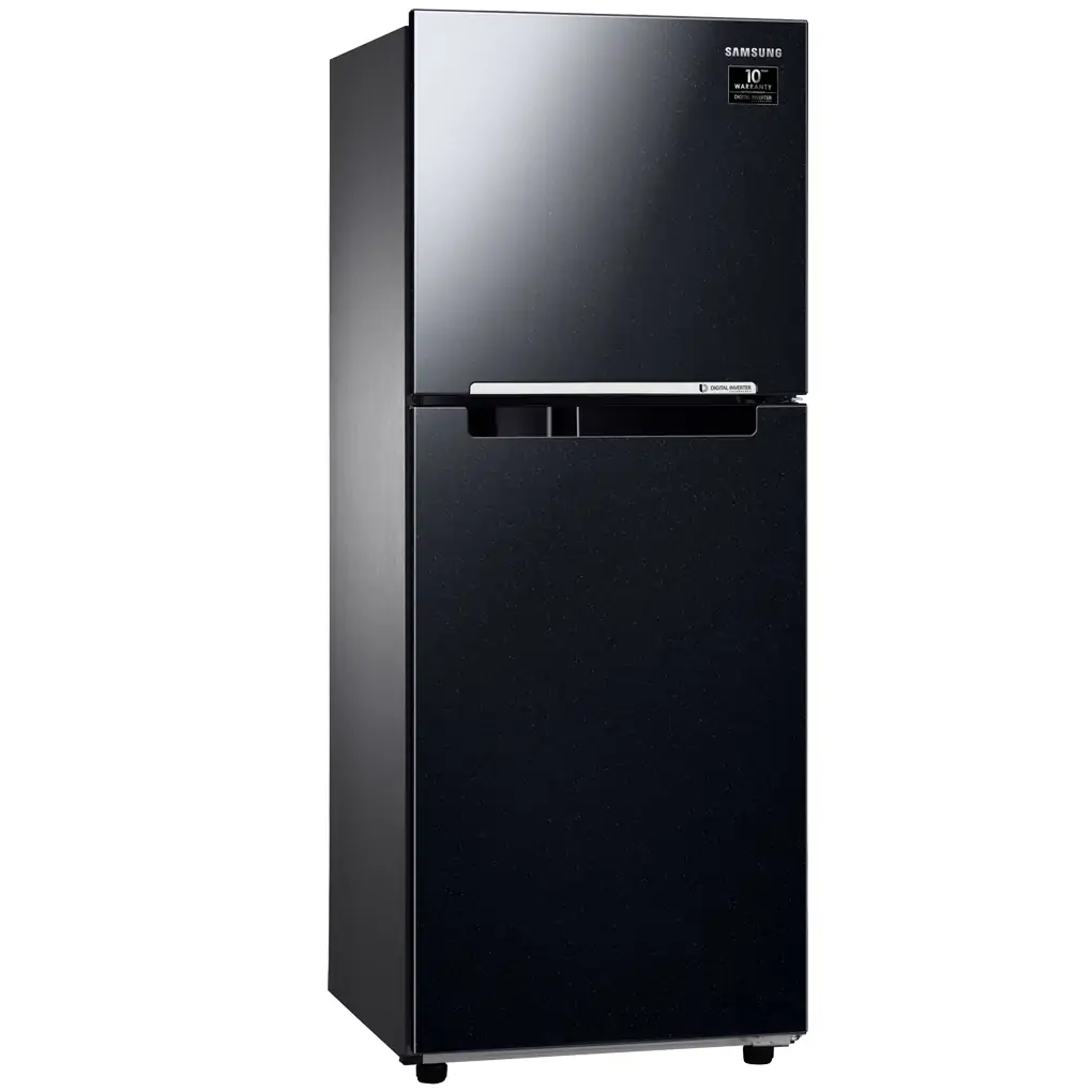 Tủ Lạnh Samsung Inverter 208 Lít RT20HAR8DBU/SV 1