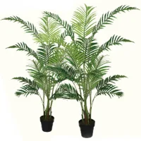 Chậu Cây Cau Vàng A197KY