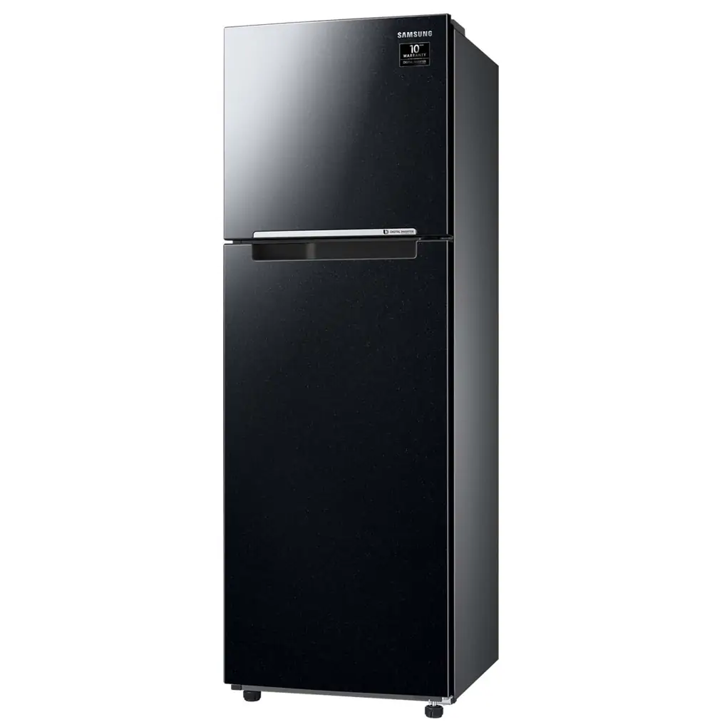 Tủ Lạnh Samsung Inverter 256 Lít TMF- RT25M4032BU 0