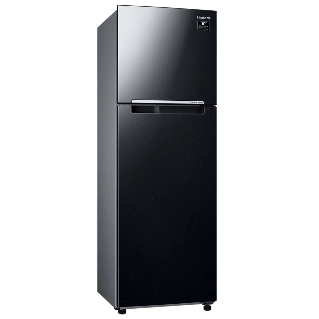 Tủ Lạnh Samsung Inverter 256 Lít TMF- RT25M4032BU 1