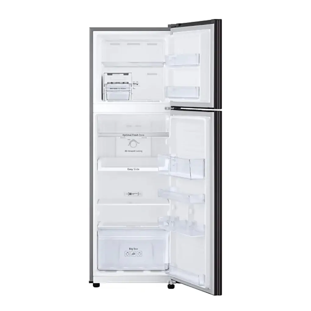 Tủ Lạnh Samsung Inverter 256 Lít TMF- RT25M4032BU 2