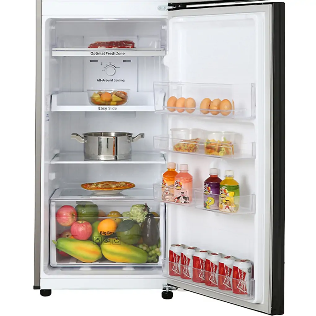 Tủ Lạnh Samsung Inverter 256 Lít TMF- RT25M4032BU 4