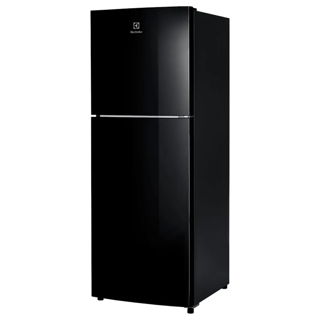 Tủ Lạnh Electrolux Inverter 256 Lít ETB2802J-H 1