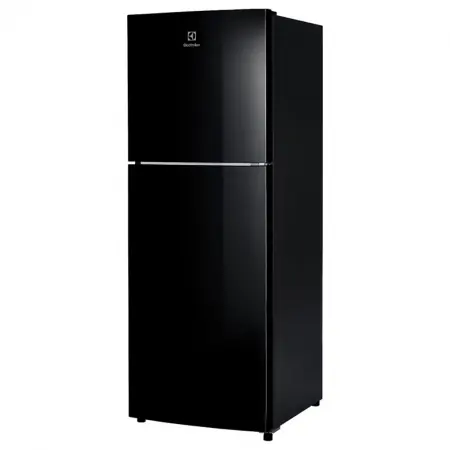 Tủ Lạnh Electrolux Inverter 256 Lít ETB2802J-H 1