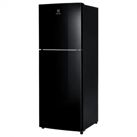 Tủ lạnh Electrolux 246 lít ETB2300MG giá tốt | nguyenkim.com