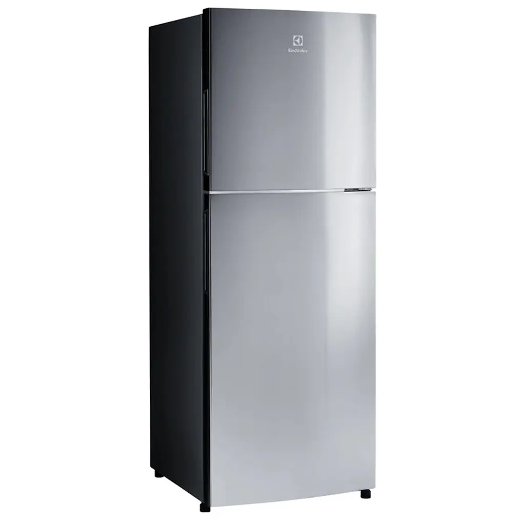 Tủ Lạnh Electrolux Inverter 256 Lít ETB2802J-A 0