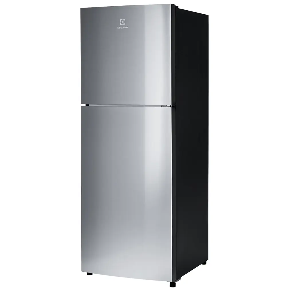 Tủ Lạnh Electrolux Inverter 256 Lít ETB2802J-A 1