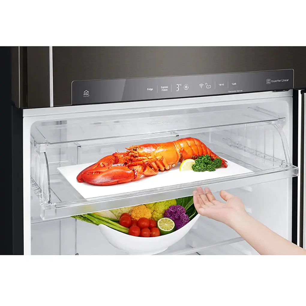 Tủ Lạnh LG Inverter 478 Lít GN-D602BL 7