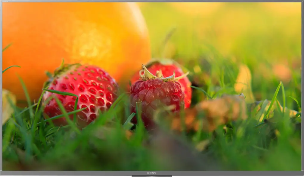 Sony Android Tivi 4K 49 Inch KD-49X8500H/S 1
