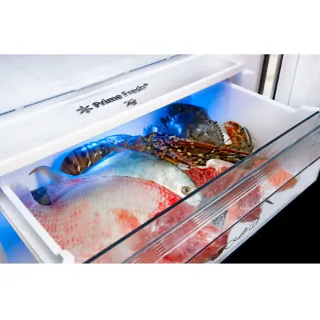 Tủ Lạnh Panasonic Inverter 322 Lít NR-BV360GKVN 5