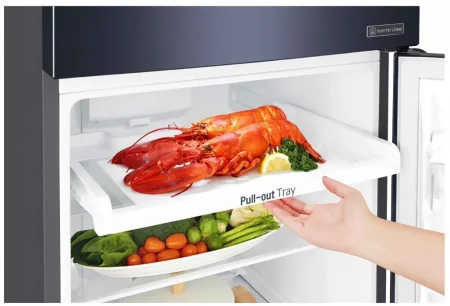 Tủ Lạnh LG Inverter 333 Lít GN-M315BL 12