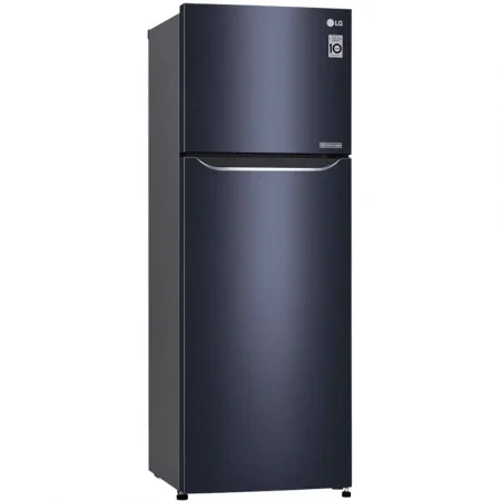 Tủ Lạnh LG Inverter 333 Lít GN-M315BL 1