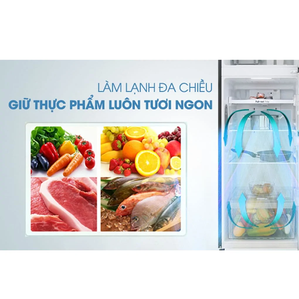 Tủ Lạnh LG Inverter 272 Lít GN-M255BL 12