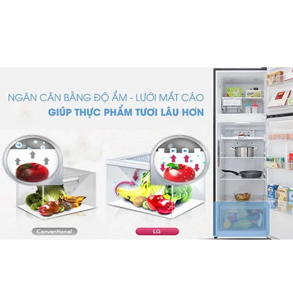 Tủ Lạnh LG Inverter 272 Lít GN-M255BL 13