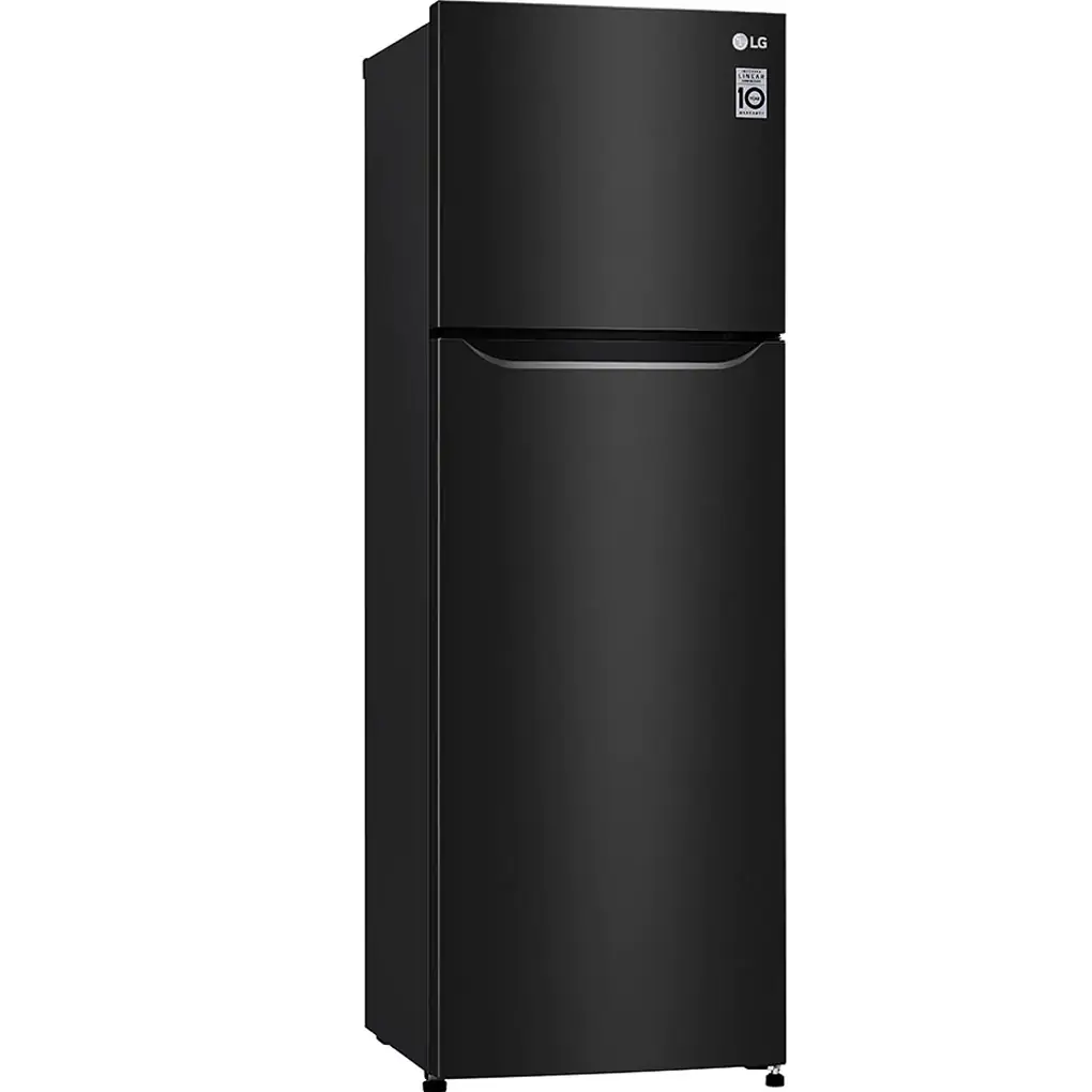 Tủ Lạnh LG Inverter 272 Lít GN-M255BL 1