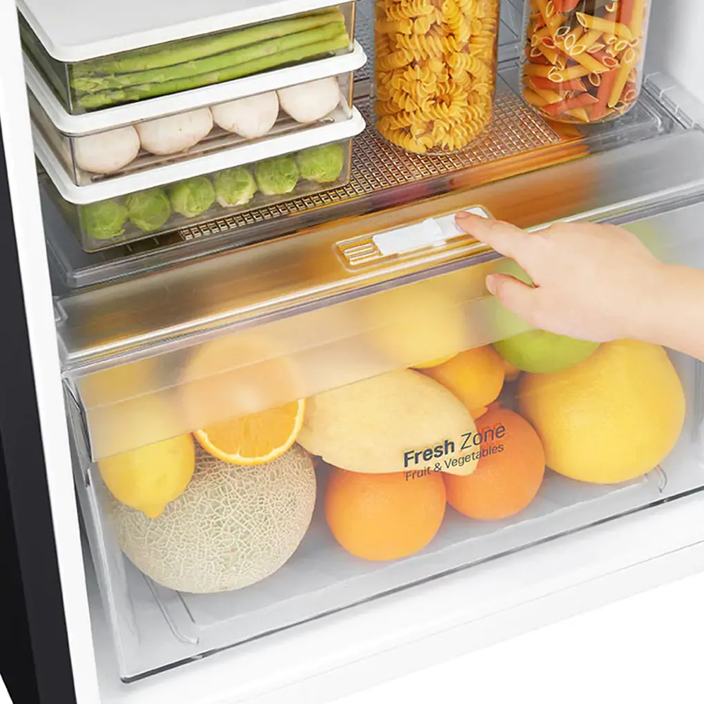 Tủ Lạnh LG Inverter 272 Lít GN-M255BL 4