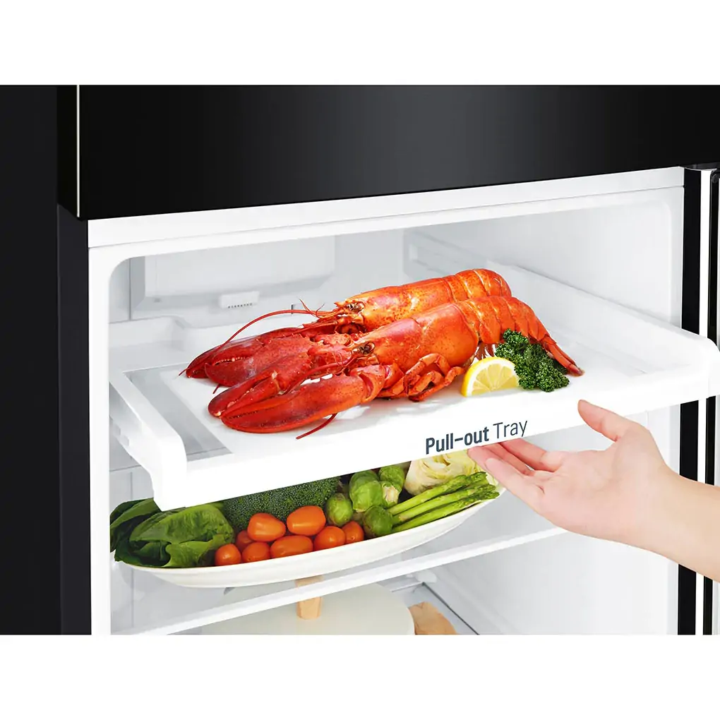 Tủ Lạnh LG Inverter 272 Lít GN-M255BL 5