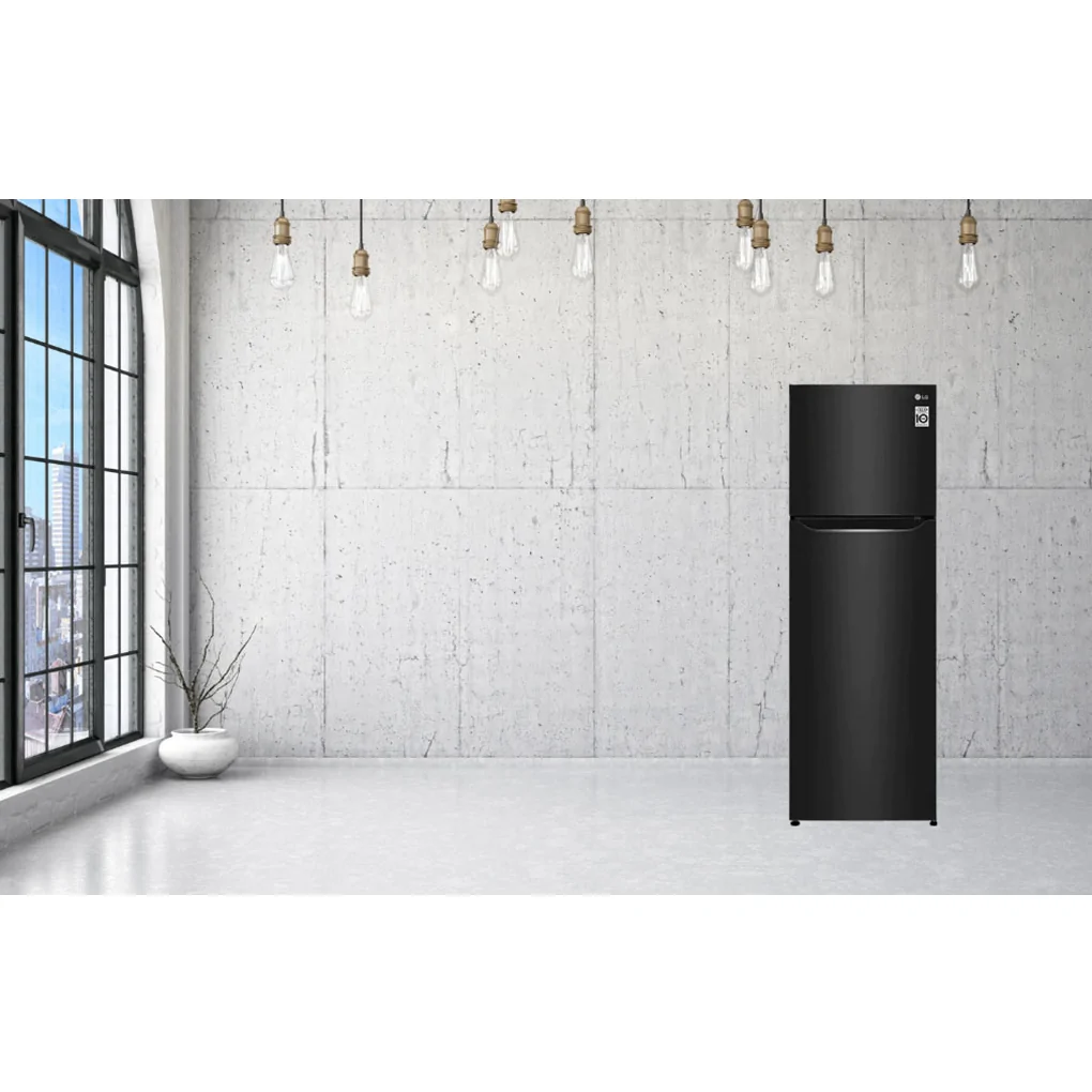 Tủ Lạnh LG Inverter 272 Lít GN-M255BL 9