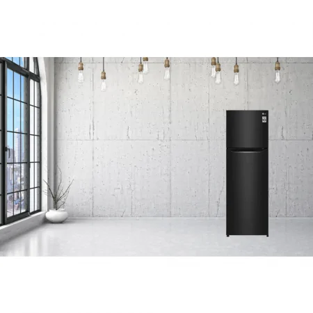 Tủ Lạnh LG Inverter 272 Lít GN-M255BL 9