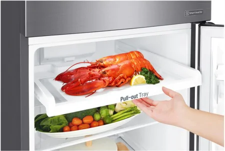 Tủ Lạnh LG Inverter 255 Lít GN-D255PS 7