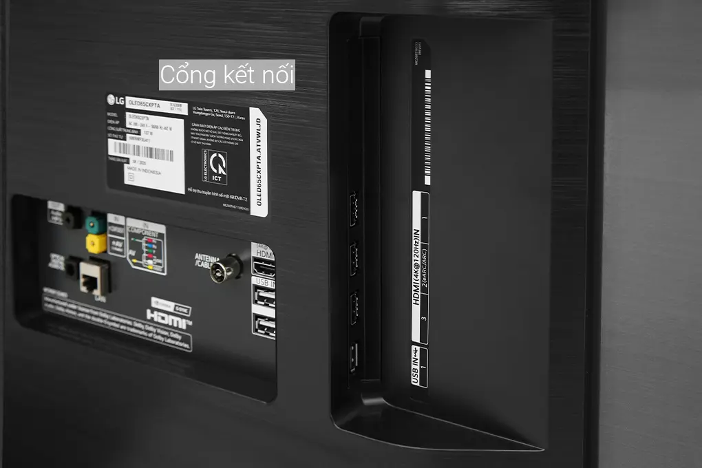 Smart Tivi OLED 4K LG 65 Inch 65CXPTA ThinQ AI 4