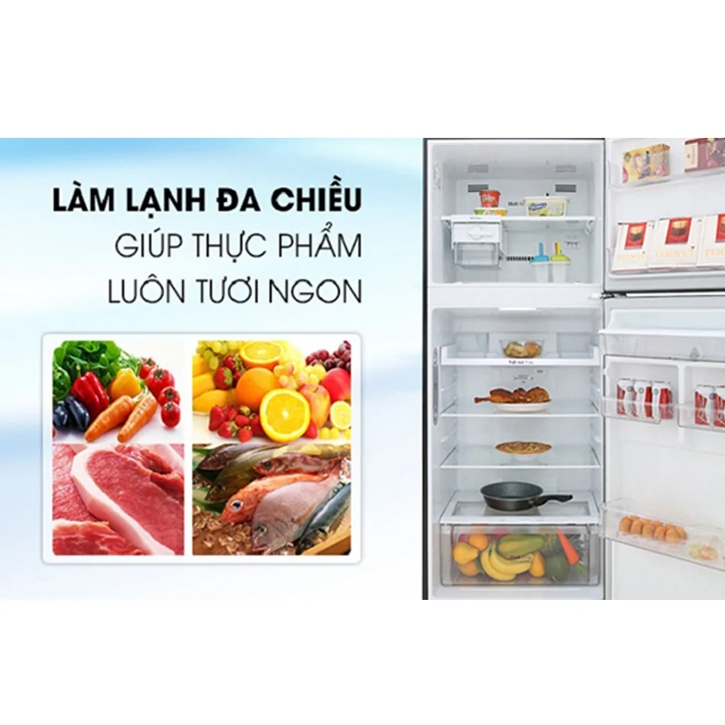 Tủ Lạnh LG Inverter 427 Lít GN-D422BL 11