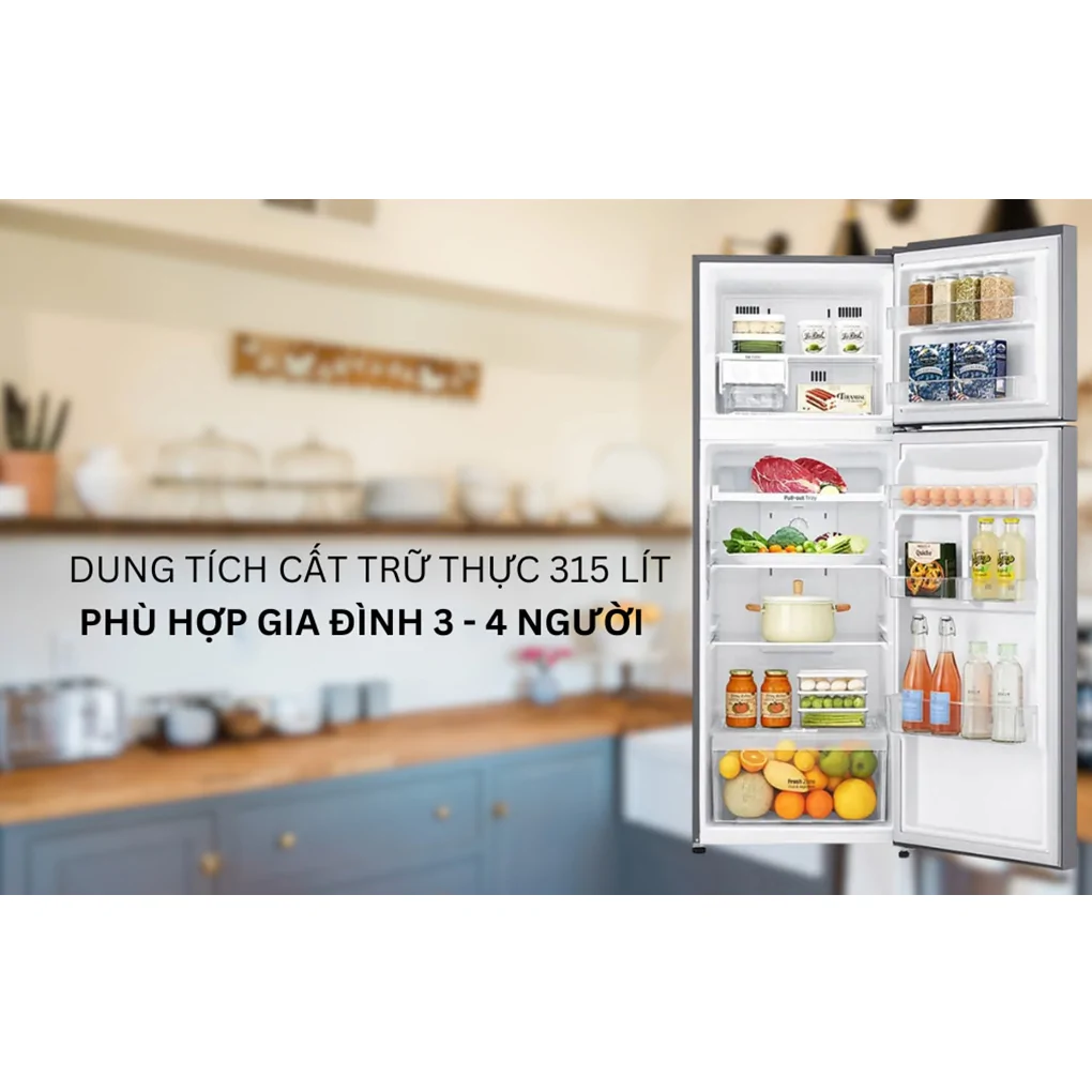 Tủ Lạnh LG Inverter 333 Lít GN-M315PS 10
