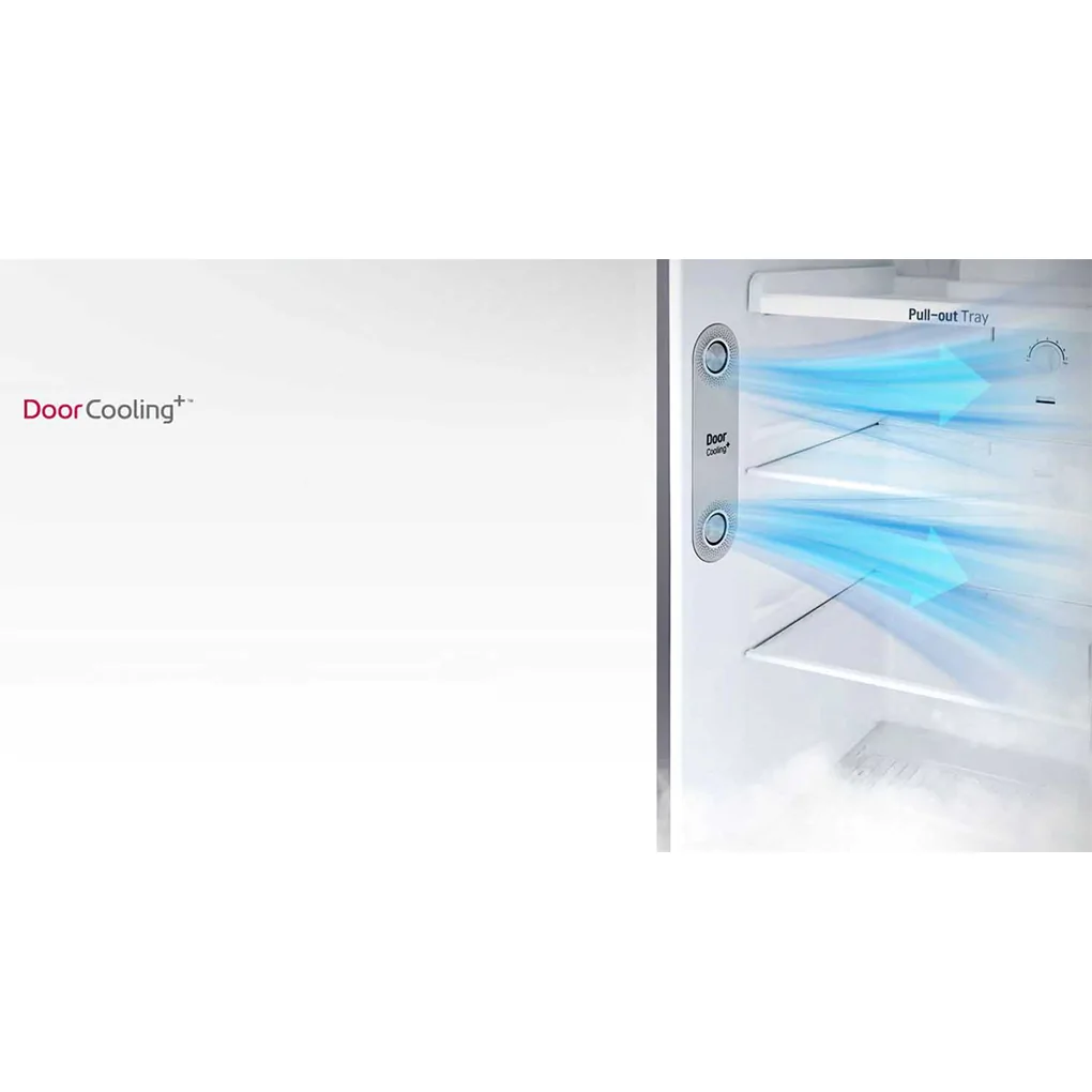 Tủ Lạnh LG Inverter 333 Lít GN-M315PS 11