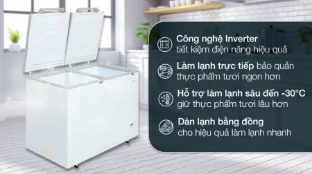 Tủ Đông Aqua Inverter 319 Lít AQF-C4201E 0