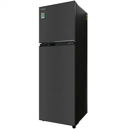 Tủ Lạnh Toshiba Inverter 253 Lít GR-B31VU (SK) 3