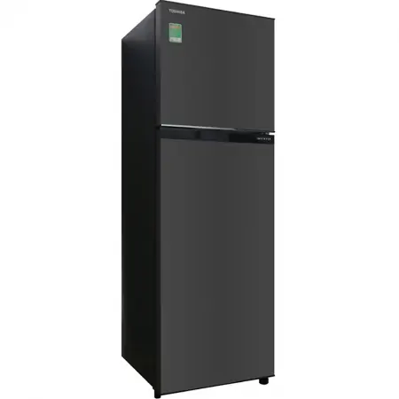 Tủ Lạnh Toshiba Inverter 253 Lít GR-B31VU (SK) 4
