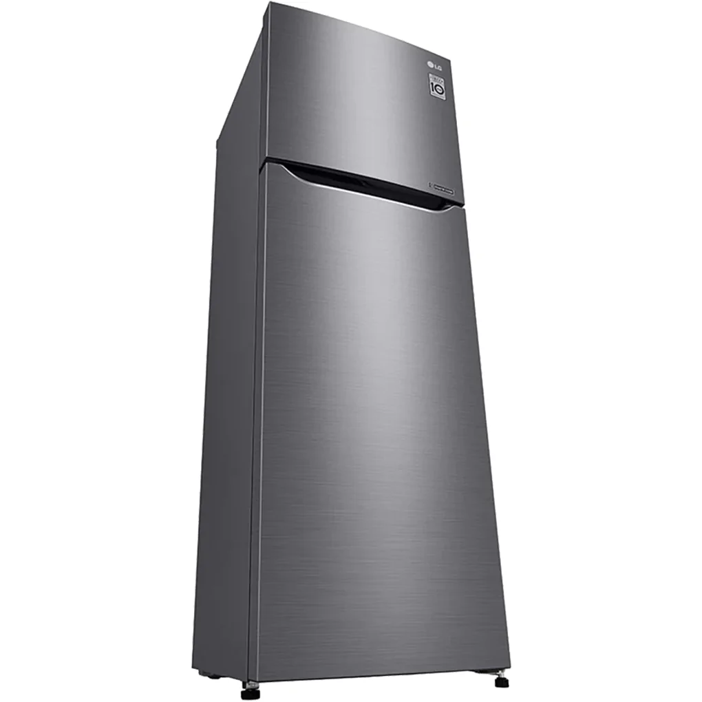 Tủ Lạnh LG Inverter 272 Lít GN-M255PS 3
