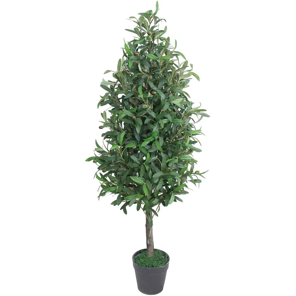 Chậu Cây Olive JWT2818