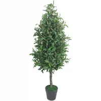 Chậu Cây Olive JWT2818