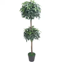 Chậu Cây Thạch Nam JWT2939