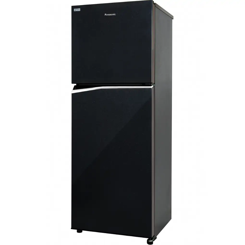 Tủ Lạnh Panasonic Inverter 268 Lít NR-BL300PKVN 0