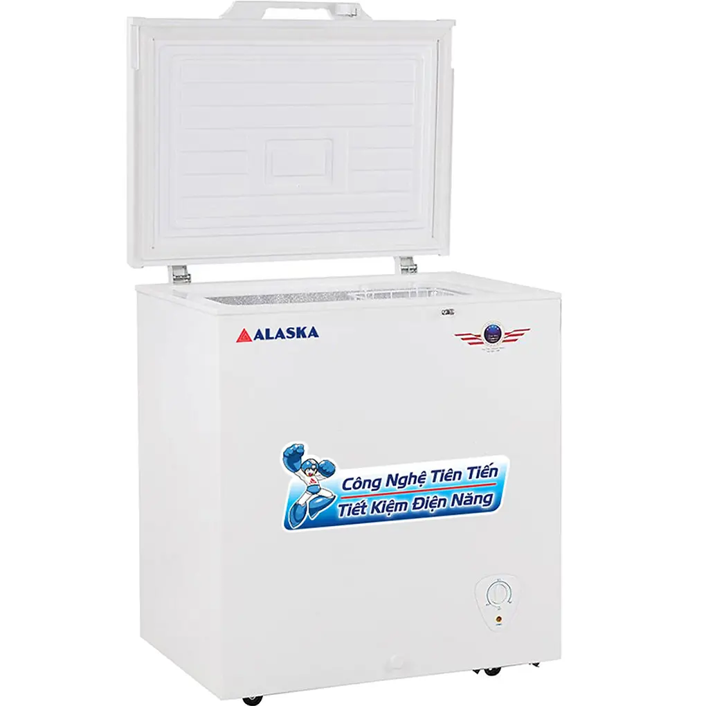 Tủ Đông Alaska 205 Lít BD-300 1